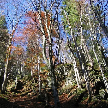 Ferienhaeuser Wurian アパート *