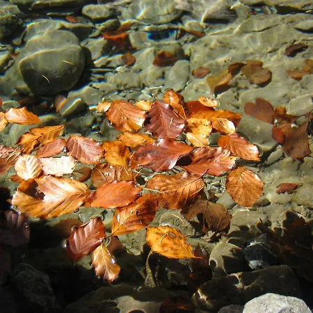 Apartament Ferienhaeuser Wurian