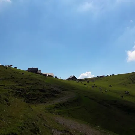 Apartament Ferienhaeuser Wurian *